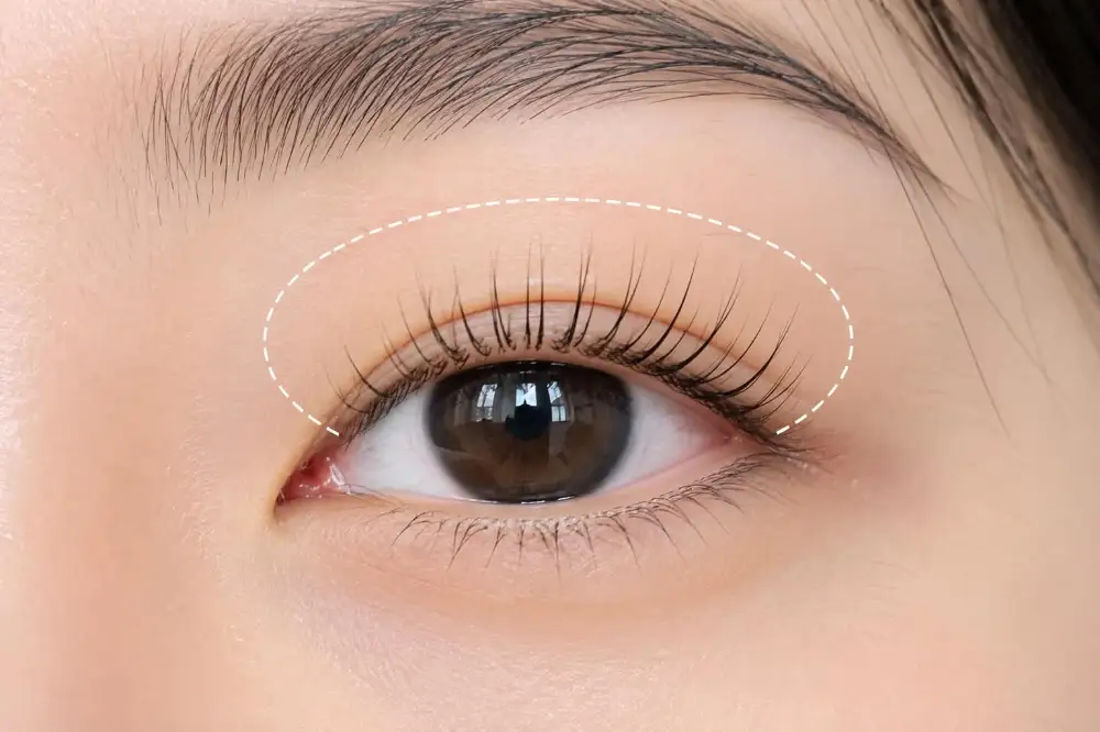 Korean Lash Perm, photo 1 of 1